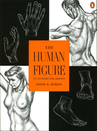 The Human Figure Paperback by David K. Rubins