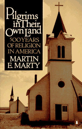 Pilgrims in Their Own Land Paperback by Martin E. Marty