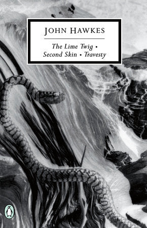The Lime Twig Paperback by John Hawkes