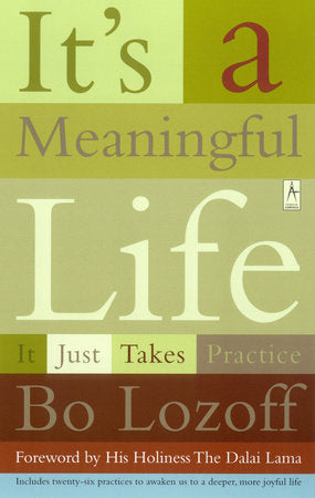 It's a Meaningful Life Paperback by Bo Lozoff