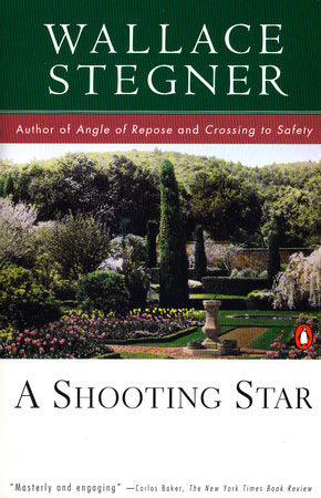 A Shooting Star Paperback by Wallace Stegner