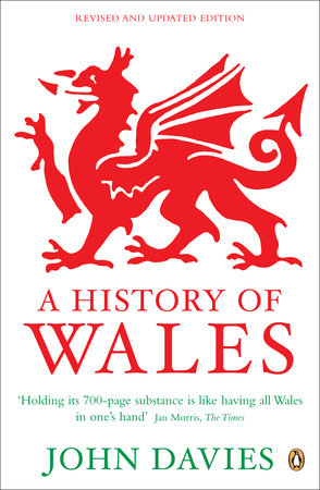 A History of Wales Paperback by John Davies