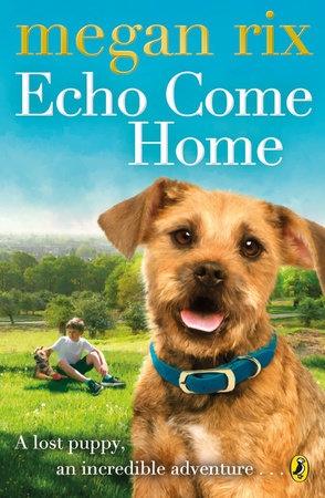 Echo Come Home Paperback by Megan Rix