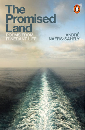 The Promised Land Paperback by André Naffis-Sahely