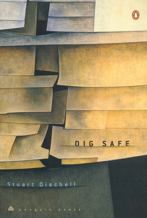 Dig Safe Paperback by Stuart Dischell