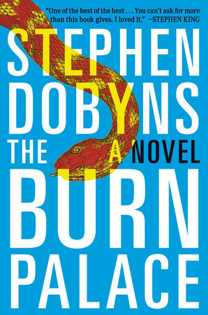 The Burn Palace Paperback by Stephen Dobyns