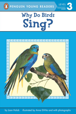 Why Do Birds Sing? Paperback by Joan Holub; Illustrated by Anna DiVito