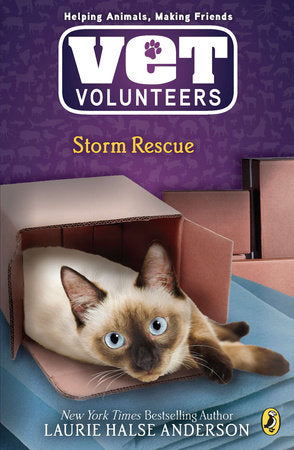 Storm Rescue Paperback by Laurie Halse Anderson