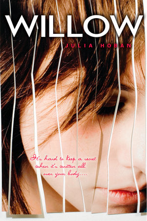 Willow Paperback by Julia Hoban