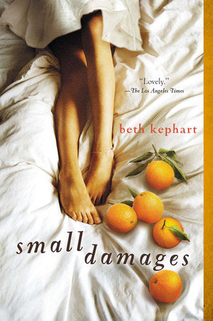 Small Damages Paperback by Beth Kephart