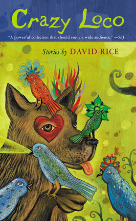 Crazy Loco Paperback by David Talbot Rice