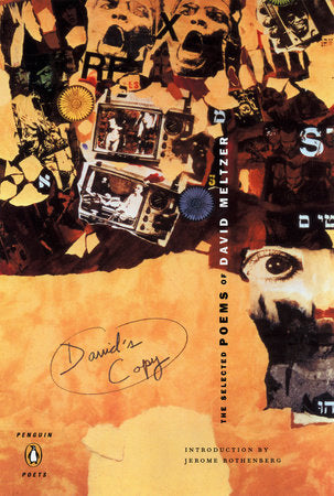 David's Copy Paperback by David Meltzer