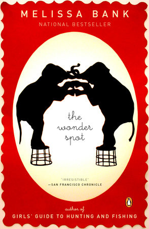 The Wonder Spot Paperback by Melissa Bank