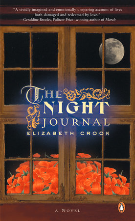 The Night Journal Paperback by Elizabeth Crook