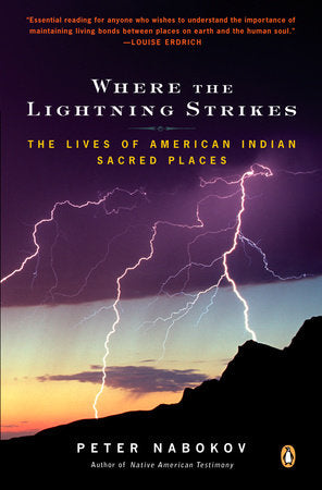 Where the Lightning Strikes Paperback by Peter Nabokov
