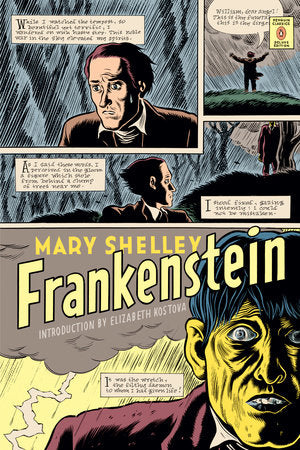 Frankenstein TR by Mary Shelley