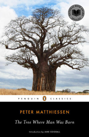 The Tree Where Man Was Born Paperback by Peter Matthiessen