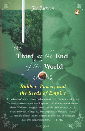 The Thief at the End of the World Paperback by Joe Jackson