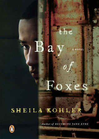 The Bay of Foxes Paperback by Sheila Kohler
