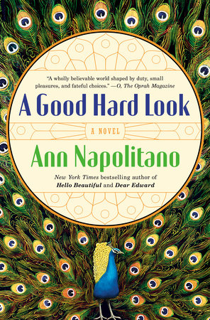 A Good Hard Look Paperback by Ann Napolitano