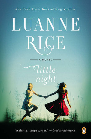 Little Night Paperback by Luanne Rice