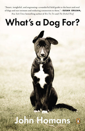What's a Dog For? Paperback by John Homans