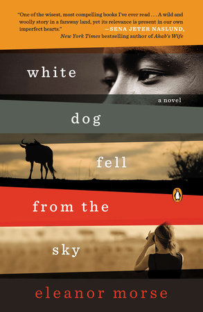 White Dog Fell from the Sky Paperback by Eleanor Morse