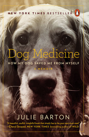 Dog Medicine Paperback by Julie Barton