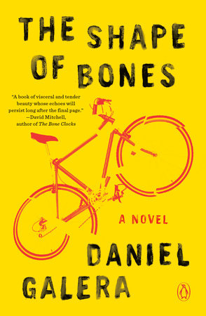 The Shape of Bones Paperback by Daniel Galera