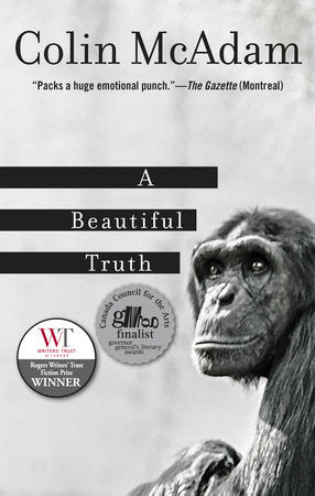 A Beautiful Truth Paperback by Colin McAdam