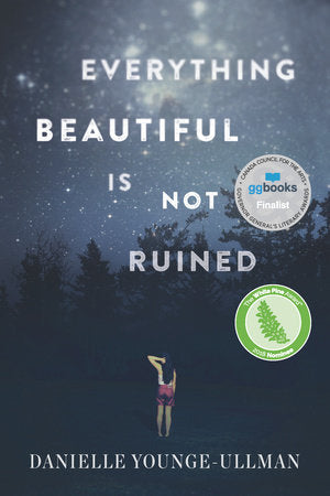Everything Beautiful Is Not Ruined Paperback by Danielle Younge-Ullman