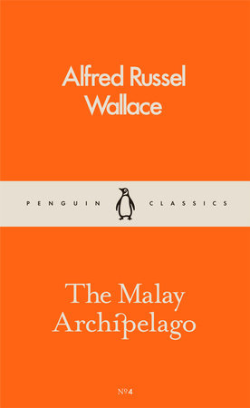 The Malay Archipelago Paperback by Alfred Russel Wallace