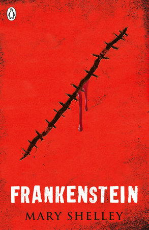 Frankenstein Paperback by Mary Shelley