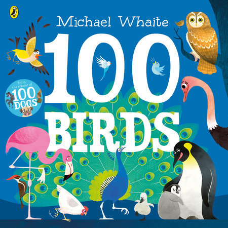100 Birds Paperback by Michael Whaite