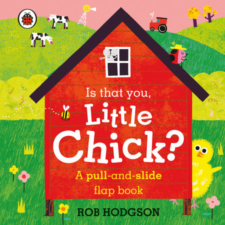 Is that you, Little Chick? Board Book by Ladybird