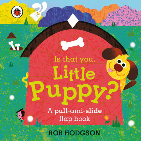Is That You, Little Puppy? Board Book by Ladybird