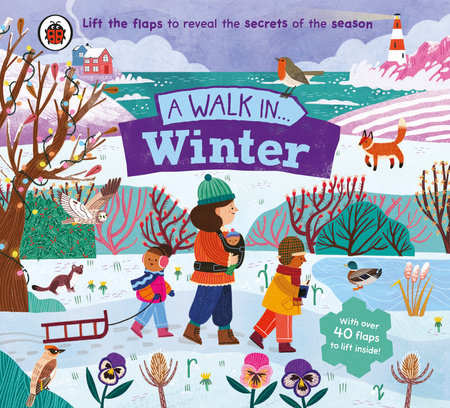 A Walk in Winter Board Book by Ladybird