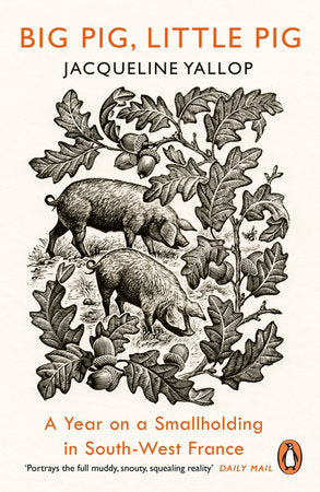 Big Pig, Little Pig Paperback by Jacqueline Yallop