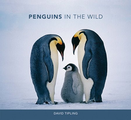 Penguins in the Wild Hardcover by David Tipling