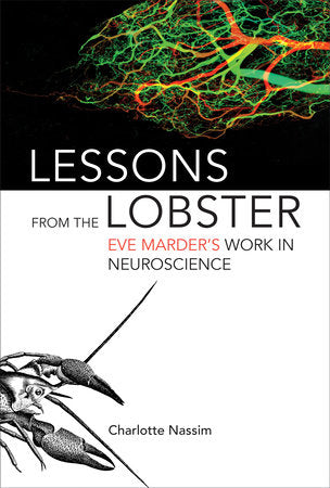 Lessons from the Lobster Hardcover by Charlotte Nassim