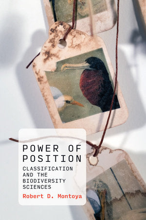 Power of Position Paperback by Robert D. Montoya