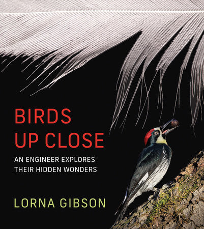 Birds Up Close Hardcover by Lorna Gibson