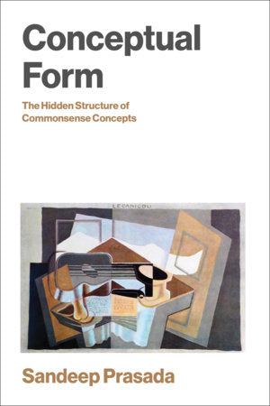 Conceptual Form Paperback by Sandeep Prasada