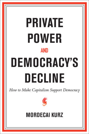 Private Power and Democracy's Decline Paperback by Mordecai Kurz