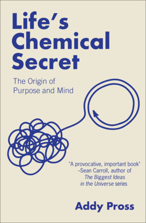 Life's Chemical Secret Hardcover by Addy Pross