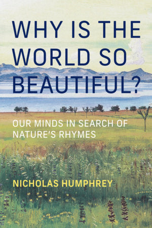 Why Is the World So Beautiful? Hardcover by Nicholas Humphrey