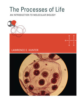 The Processes of Life Paperback by Lawrence E. Hunter