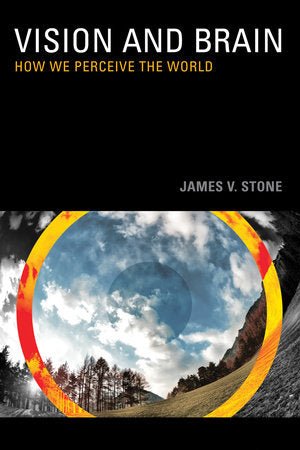 Vision and Brain Paperback by James V. Stone
