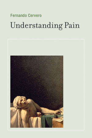 Understanding Pain Paperback by Fernando Cervero