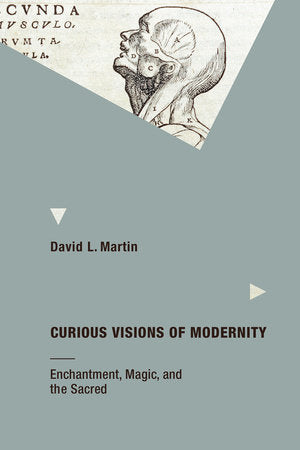 Curious Visions of Modernity Paperback by David L Martin